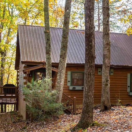 Mountain Time Cabin, Hot Tub, Fire Pit, Fireplace Villa Blue Ridge Kültér fotó