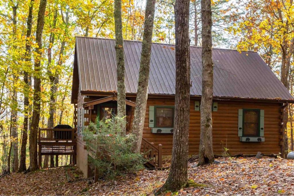 Mountain Time Cabin, Hot Tub, Fire Pit, Fireplace Villa Blue Ridge Kültér fotó