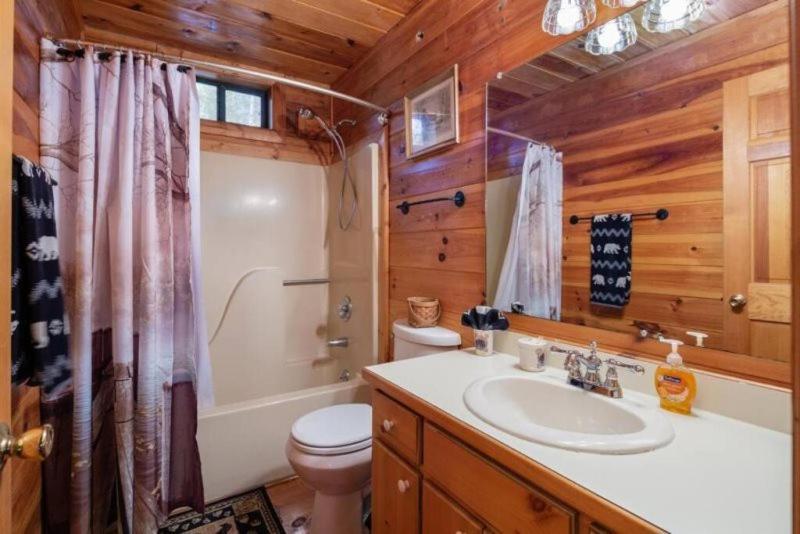 Mountain Time Cabin, Hot Tub, Fire Pit, Fireplace Villa Blue Ridge Kültér fotó