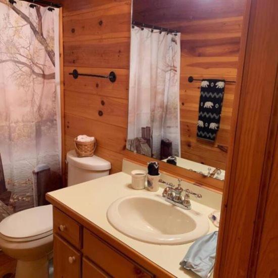 Mountain Time Cabin, Hot Tub, Fire Pit, Fireplace Villa Blue Ridge Kültér fotó
